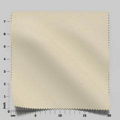 Astra Biscuit
