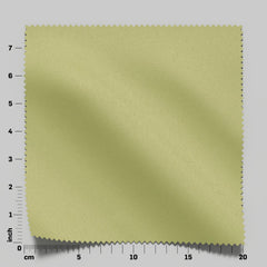 Astra Leaf